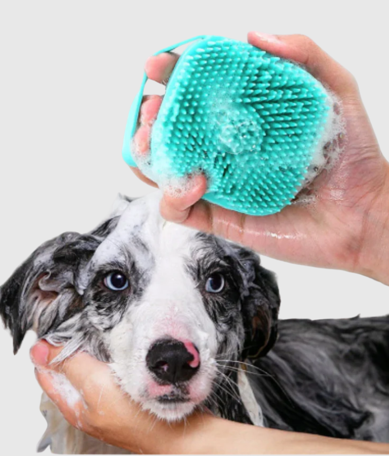 2-in-1 Pet Bath Brush with Shampoo Dispenser - Image 4